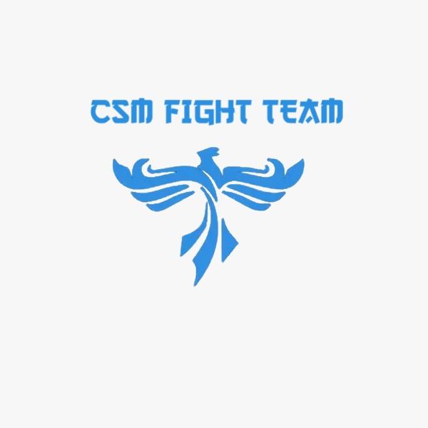 Logo CSM FIGHT TEAM