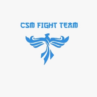 CSM FIGHT TEAM